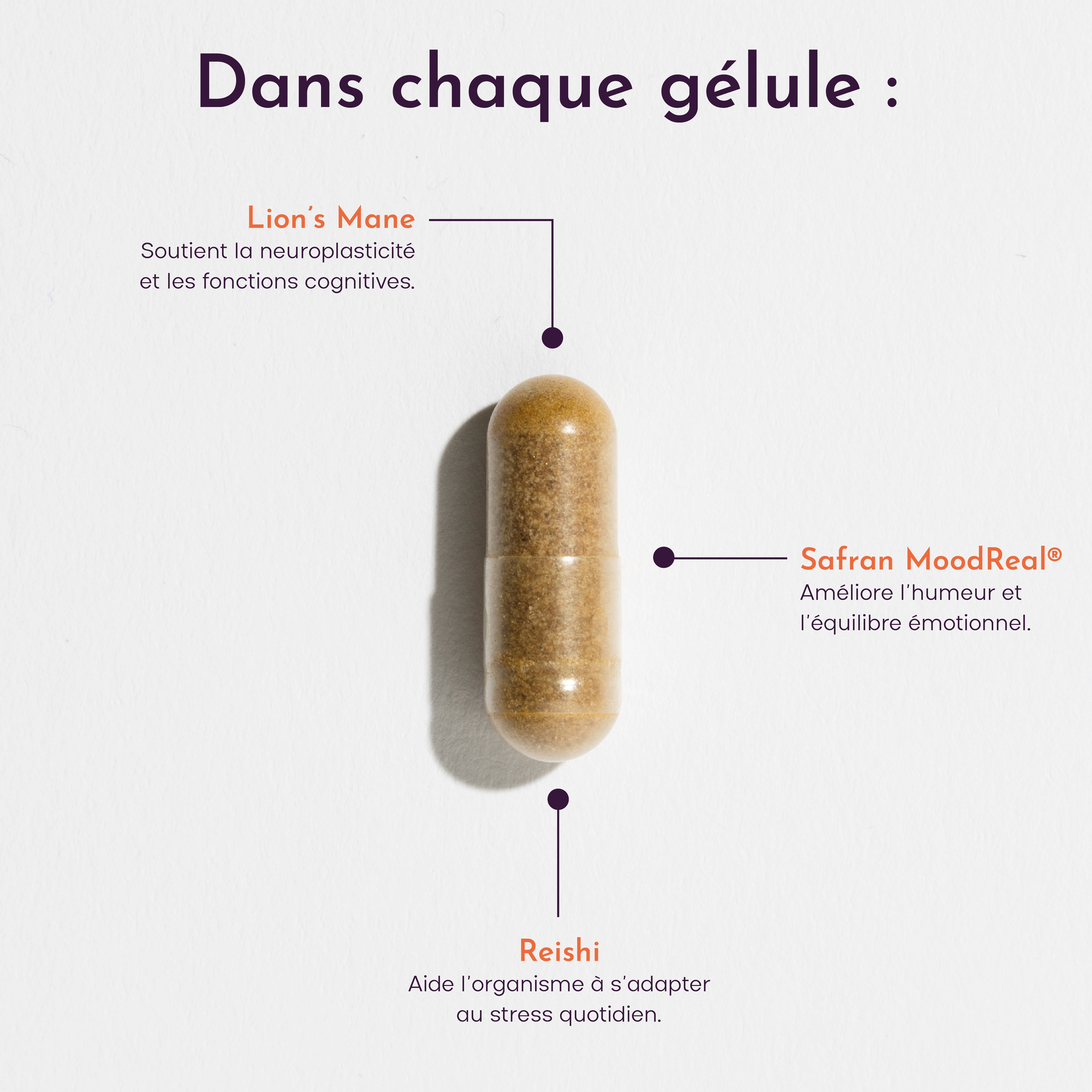 RITUEL